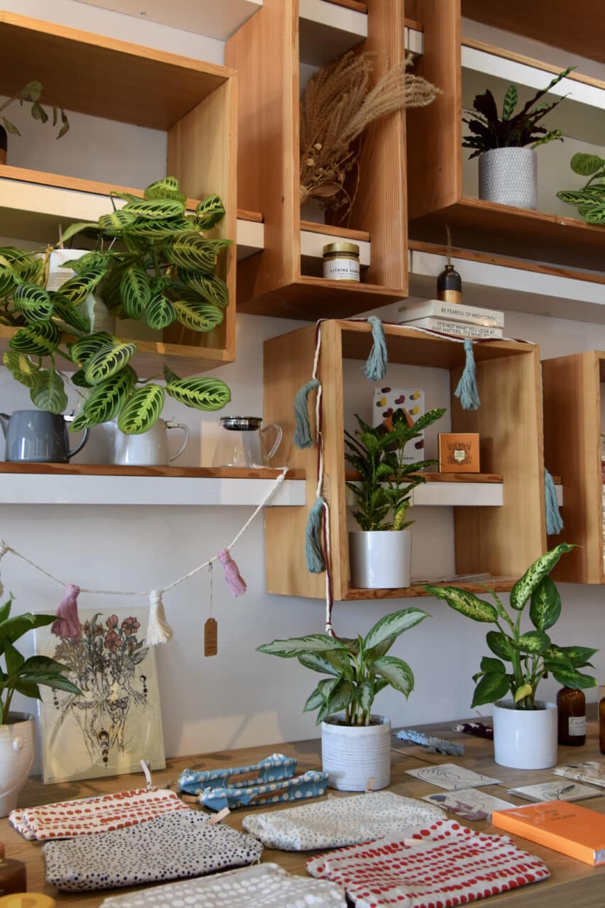 picture of plants on wall at Bru, Los Angeles