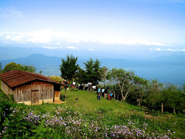 Overview of a producer's farm with grass and trees and landscape background